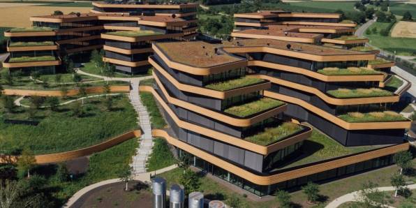 Lidl Gebäude in Bad Wimpfen