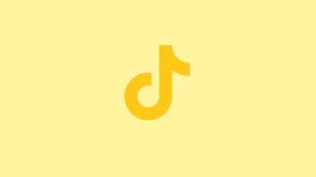 TikTok Logo